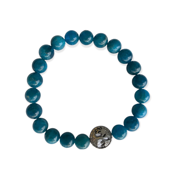Healing Crystal Bracelets Blue Apatite 8 mm