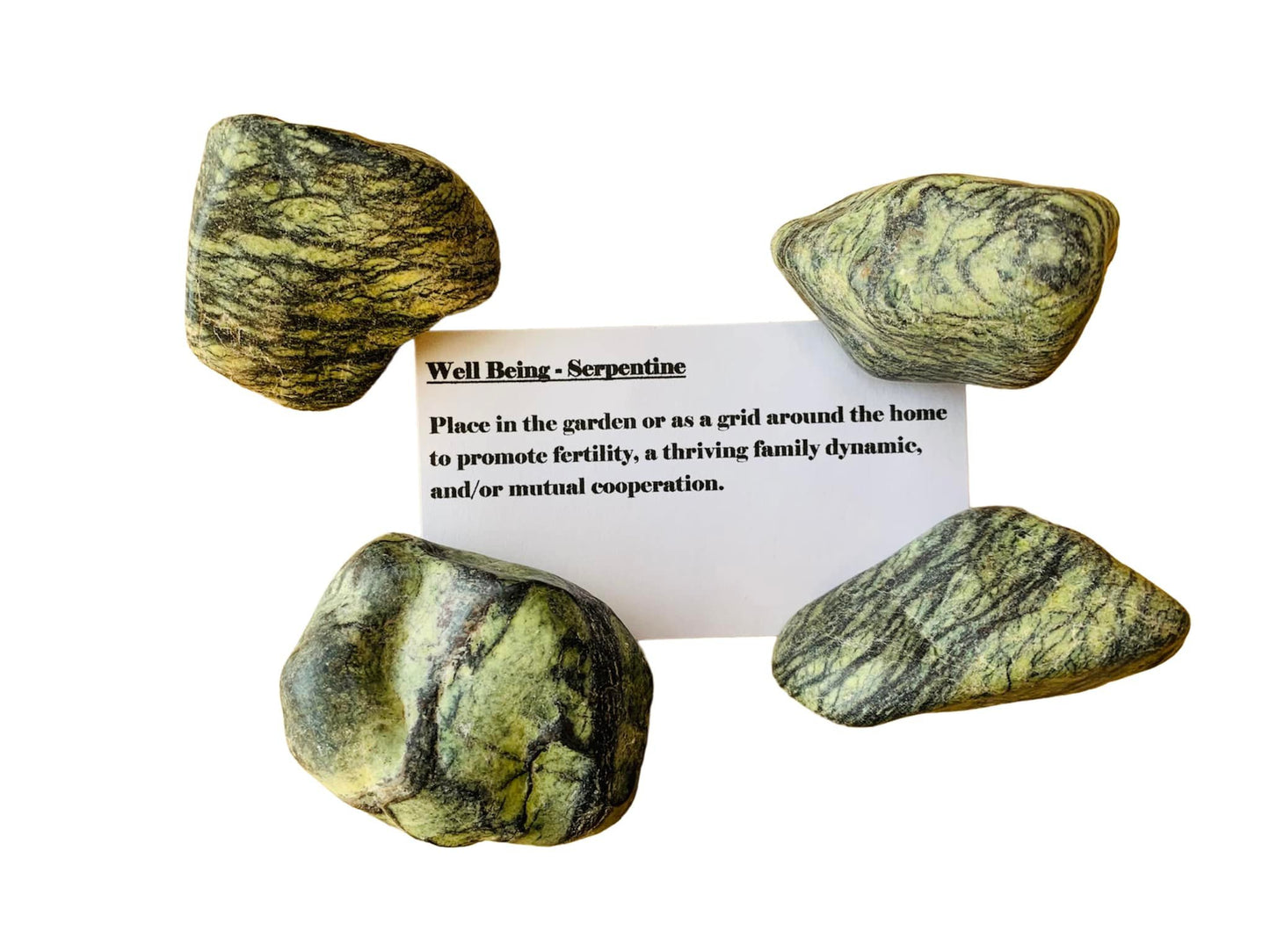 Well-Being: Serpentine