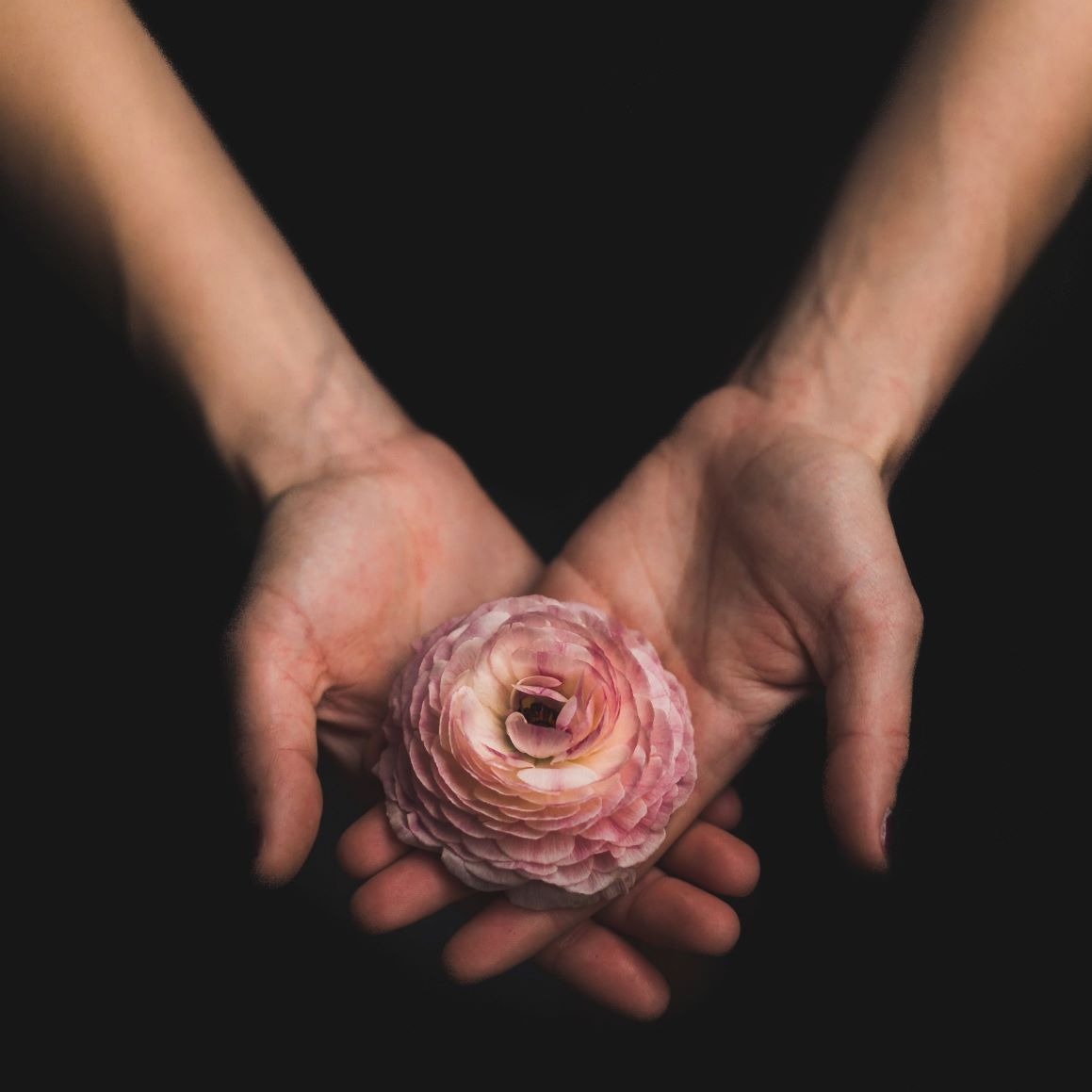 Tarot Reader Hands Holding Flower