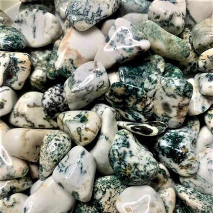 Crystal Advent Calendar Tree Agate Tumbled Stones