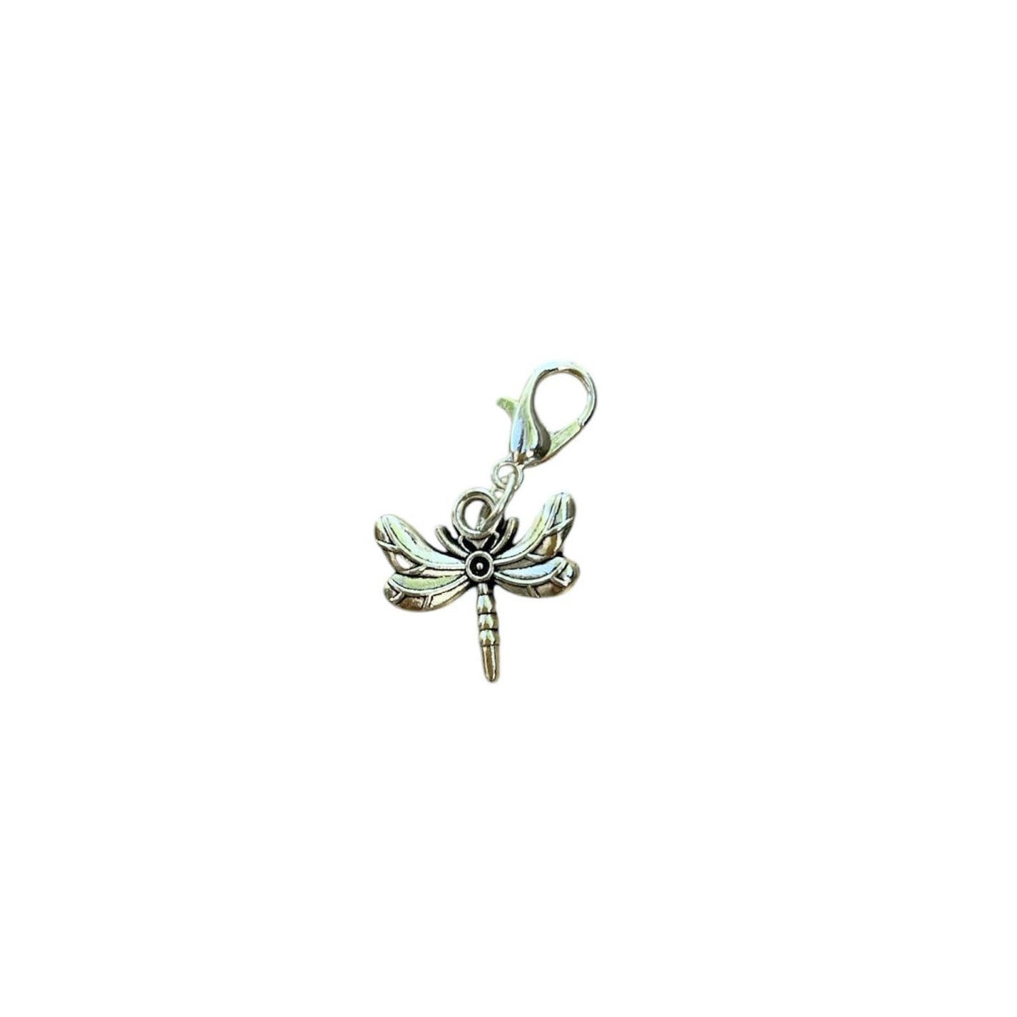 Dragonfly Whimsical Charm